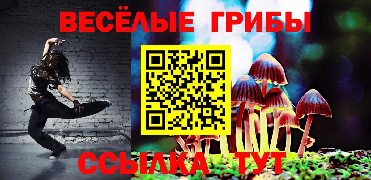 Псилоцибиновые грибы Psilocybe  Псилоцибиновые грибы Cubensis  Мценск  Вход с VPN 